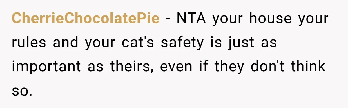 She Gave Her Sister One Rule to Stay - Protect the Cat. After Breaking It Three Times, She Kicked Them Out CherrieChocolatePie − NTA your house your rules and your cat's safety is just as important as theirs, even if they don't think so.
