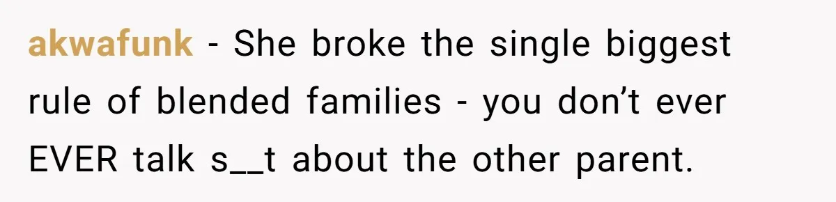 Teenage Son Unleashes Brutal Truth On Father's Wife Over Constant Mom Bashing And Forced Closeness akwafunk − She broke the single biggest rule of blended families - you don’t ever EVER talk s__t about the other parent.