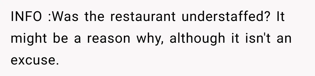INFO :Was the restaurant understaffed? It might be a reason why, although it isn't an excuse.