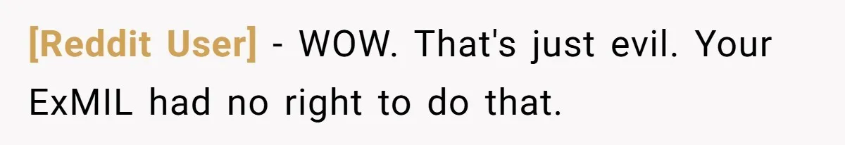 [Reddit User] − WOW. That's just evil. Your ExMIL had no right to do that.