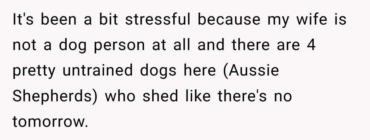 Husband Calls Wife 'Difficult' After She Refuses To Let Dogs Ruin Her Only Cherished Recliner It's been a bit stressful because my wife is not a dog person at all and there are 4 pretty untrained dogs here (Aussie Shepherds) who shed like there's no...