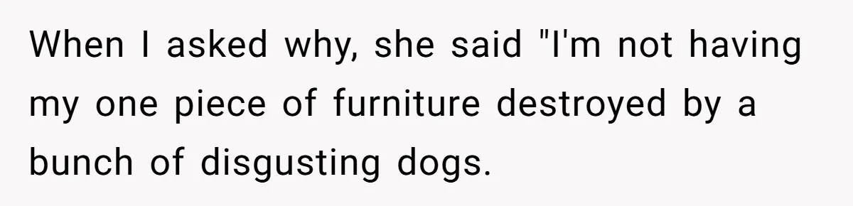 Husband Calls Wife 'Difficult' After She Refuses To Let Dogs Ruin Her Only Cherished Recliner When I asked why, she said "I'm not having my one piece of furniture destroyed by a bunch of disgusting dogs.