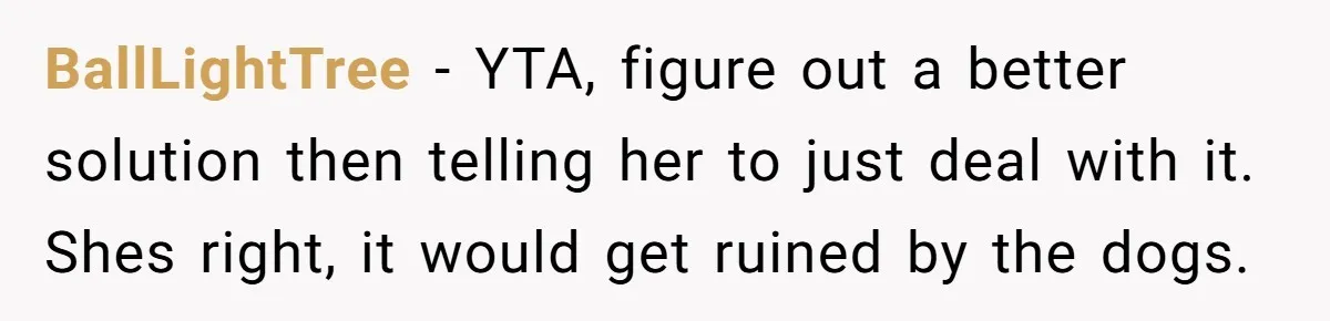 Husband Calls Wife 'Difficult' After She Refuses To Let Dogs Ruin Her Only Cherished Recliner BallLightTree − YTA, figure out a better solution then telling her to just deal with it. Shes right, it would get ruined by the dogs.