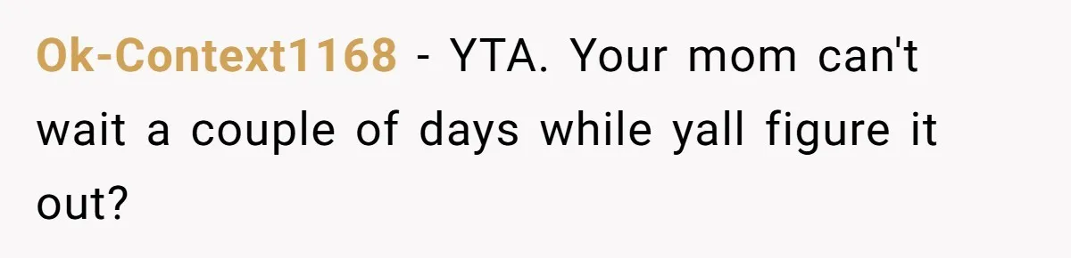 Husband Calls Wife 'Difficult' After She Refuses To Let Dogs Ruin Her Only Cherished Recliner Ok-Context1168 − YTA. Your mom can't wait a couple of days while yall figure it out?