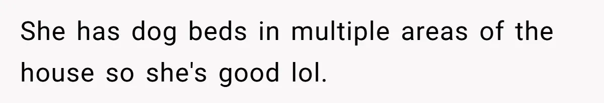 Husband Calls Wife 'Difficult' After She Refuses To Let Dogs Ruin Her Only Cherished Recliner She has dog beds in multiple areas of the house so she's good lol.