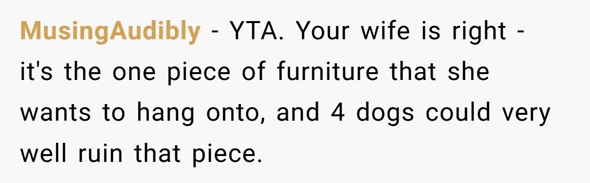 Husband Calls Wife 'Difficult' After She Refuses To Let Dogs Ruin Her Only Cherished Recliner MusingAudibly − YTA. Your wife is right - it's the one piece of furniture that she wants to hang onto, and 4 dogs could very well ruin that piece.
