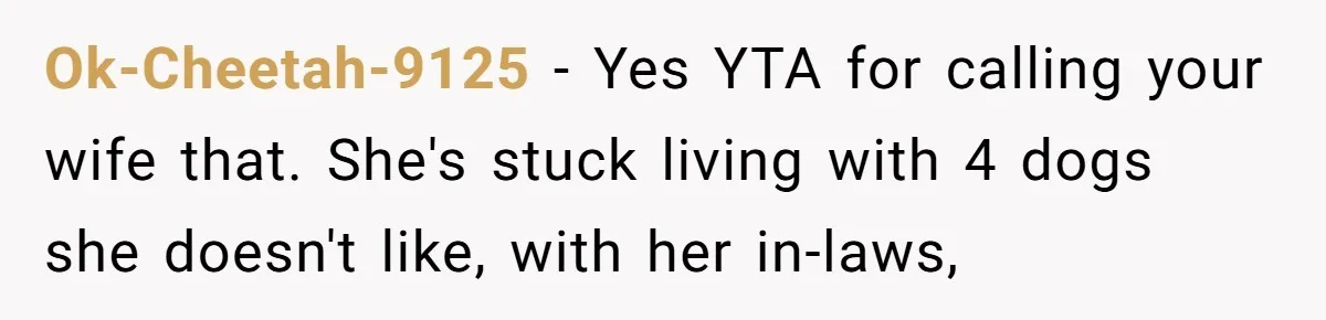 Husband Calls Wife 'Difficult' After She Refuses To Let Dogs Ruin Her Only Cherished Recliner Ok-Cheetah-9125 − Yes YTA for calling your wife that. She's stuck living with 4 dogs she doesn't like, with her in-laws,