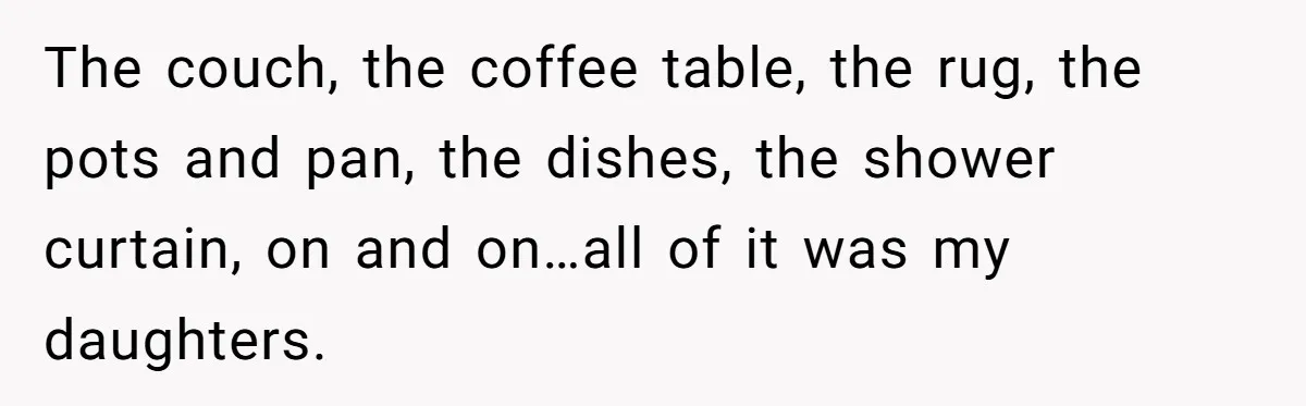 A Roommate Told Her ‘This Is Why You Have No Friends’ - Then Came Home to Nothing The couch, the coffee table, the rug, the pots and pan, the dishes, the shower curtain, on and on…all of it was my daughters.