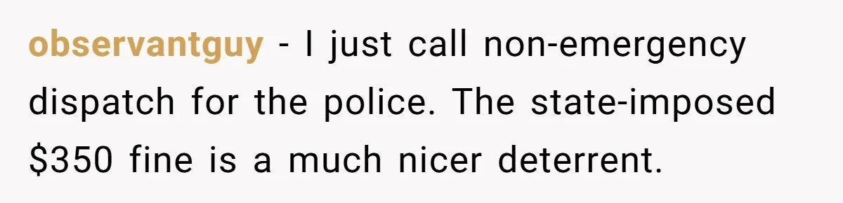 Parent Spots Luxury Car Blocking Handicapped Access Zone And Delivers Payback With Piece Of Paper observantguy − I just call non-emergency dispatch for the police. The state-imposed $350 fine is a much nicer deterrent.