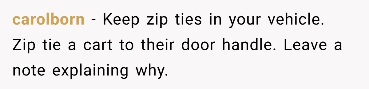 Parent Spots Luxury Car Blocking Handicapped Access Zone And Delivers Payback With Piece Of Paper carolborn − Keep zip ties in your vehicle. Zip tie a cart to their door handle. Leave a note explaining why.