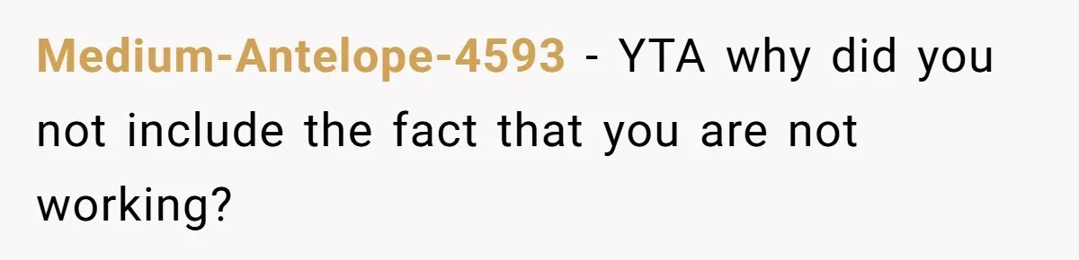 Unemployed Wife Hires Maid With Husband's Earnings While He Works Long Hours And Helps With Chores Medium-Antelope-4593 − YTA why did you not include the fact that you are not working?