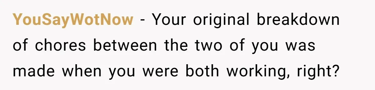 Unemployed Wife Hires Maid With Husband's Earnings While He Works Long Hours And Helps With Chores YouSayWotNow − Your original breakdown of chores between the two of you was made when you were both working, right?
