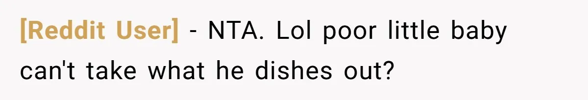 [Reddit User] − NTA. Lol poor little baby can't take what he dishes out?