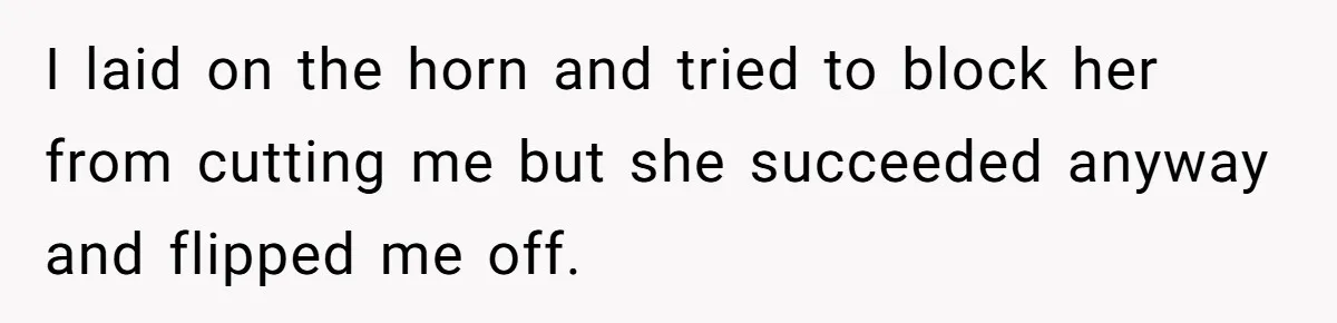 I laid on the horn and tried to block her from cutting me but she succeeded anyway and flipped me off.