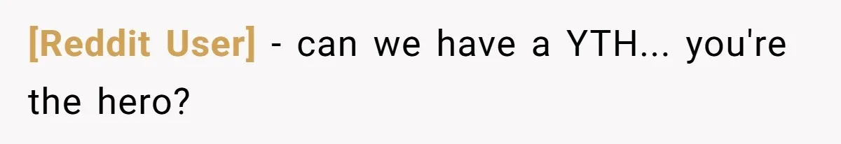 [Reddit User] − can we have a YTH... you're the hero?