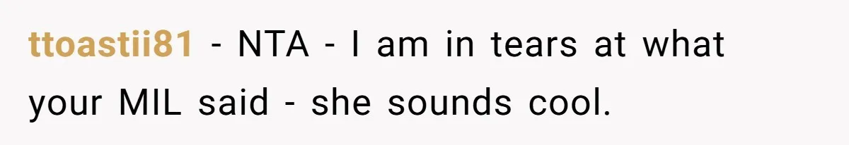 A Curious Husband Licks Baby Formula To Satisfy Wonder And Leaves His Wife Furious Over Tiny Drops ttoastii81 − NTA - I am in tears at what your MIL said - she sounds cool.