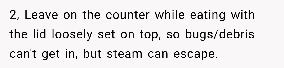 2, Leave on the counter while eating with the lid loosely set on top, so bugs/debris can't get in, but steam can escape.