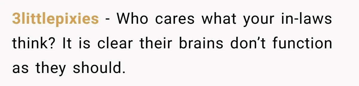 Wife Ends Marriage After Husband Lies About Stepdaughter's Therapy As Girl Turns Increasingly Hostile 3littlepixies − Who cares what your in-laws think? It is clear their brains don’t function as they should.