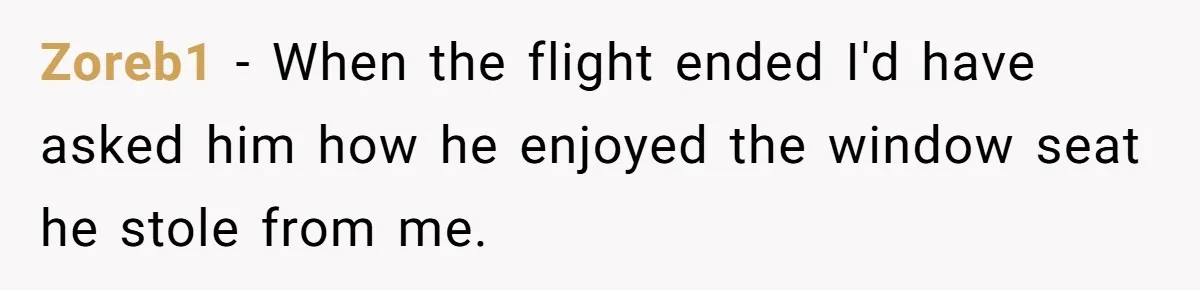 Zoreb1 − When the flight ended I'd have asked him how he enjoyed the window seat he stole from me.