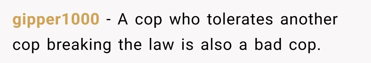 gipper1000 − A cop who tolerates another cop breaking the law is also a bad cop.