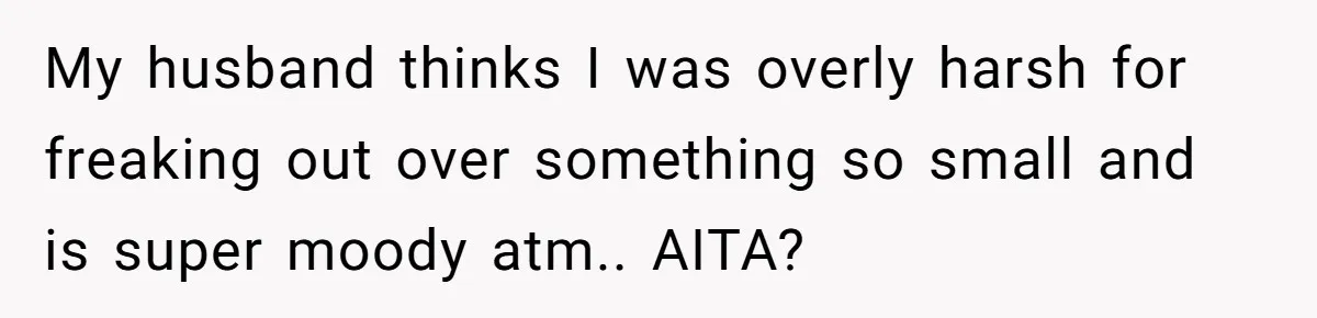 Mom Loses It Over Grandma’s ‘WinWin’ Nickname - Internet Says the Meltdown Was Worse Than the Name My husband thinks I was overly harsh for freaking out over something so small and is super moody atm.. AITA?