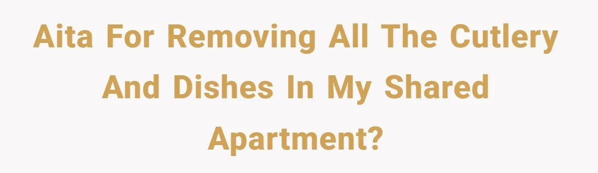 AITA for removing all the cutlery and dishes in my shared apartment?