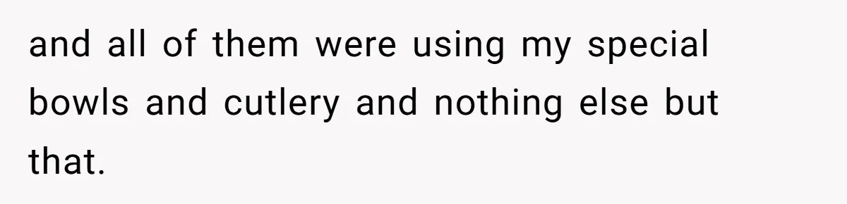 and all of them were using my special bowls and cutlery and nothing else but that.