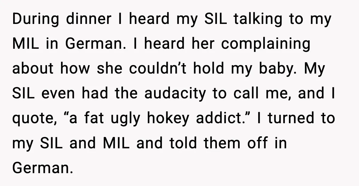 During dinner I heard my SIL talking to my MIL in German. I heard her complaining about how she couldn’t hold my baby. My SIL even had the audacity to...