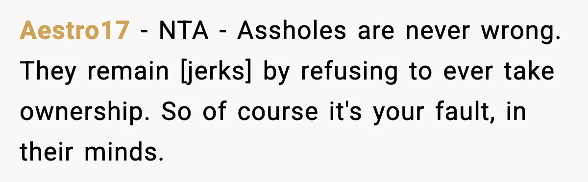 Aestro17 - NTA - Assholes are never wrong. They remain [jerks] by refusing to ever take ownership. So of course it's your fault, in their minds.