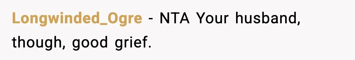 Longwinded_Ogre − NTA Your husband, though, good grief.