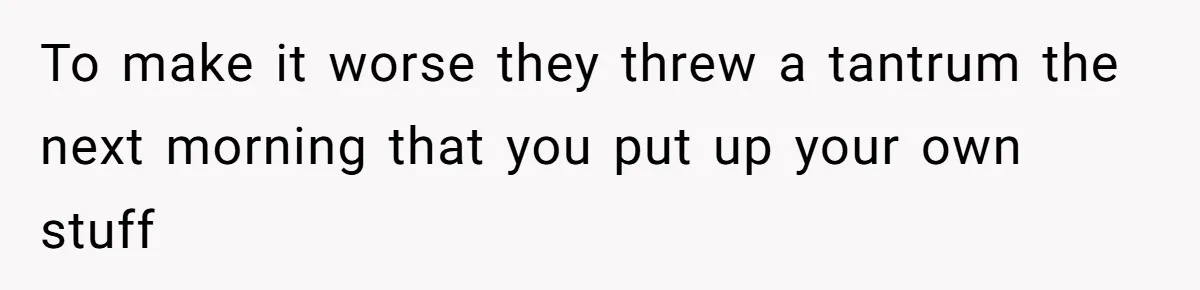 To make it worse they threw a tantrum the next morning that you put up your own stuff