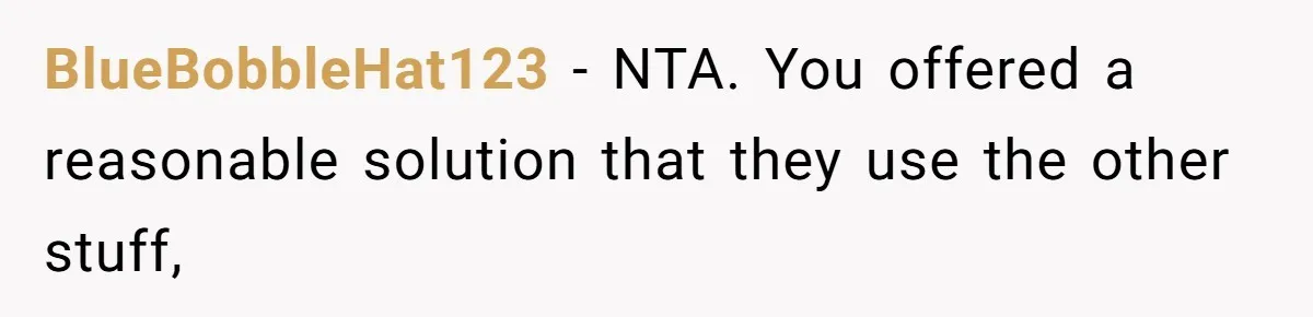 BlueBobbleHat123 − NTA. You offered a reasonable solution that they use the other stuff,