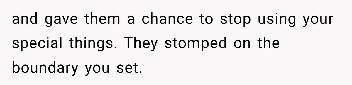 and gave them a chance to stop using your special things. They stomped on the boundary you set.