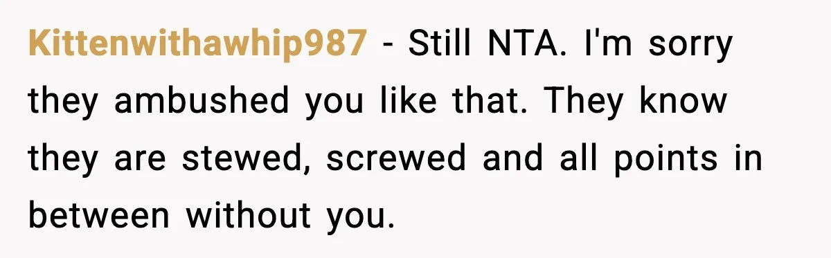 Kittenwithawhip987 - Still NTA. I'm sorry they ambushed you like that. They know they are stewed, screwed and all points in between without you.