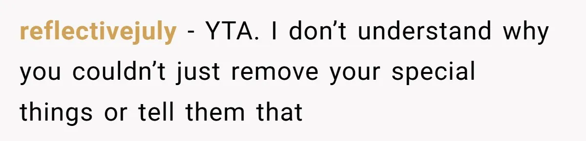 reflectivejuly − YTA. I don’t understand why you couldn’t just remove your special things or tell them that