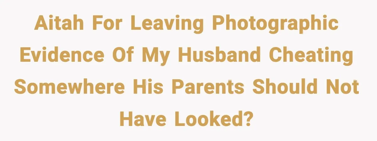 AITAH for leaving photographic evidence of my husband cheating somewhere his parents should not have looked?