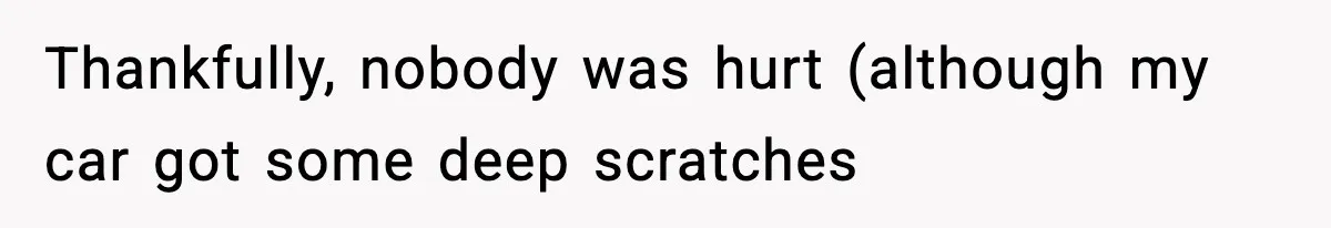 Thankfully, nobody was hurt (although my car got some deep scratches