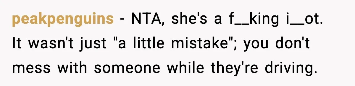 peakpenguins − NTA, she's a f__king i__ot. It wasn't just "a little mistake"; you don't mess with someone while they're driving.