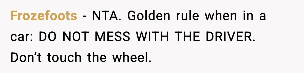 Frozefoots − NTA. Golden rule when in a car: DO NOT MESS WITH THE DRIVER. Don’t touch the wheel.
