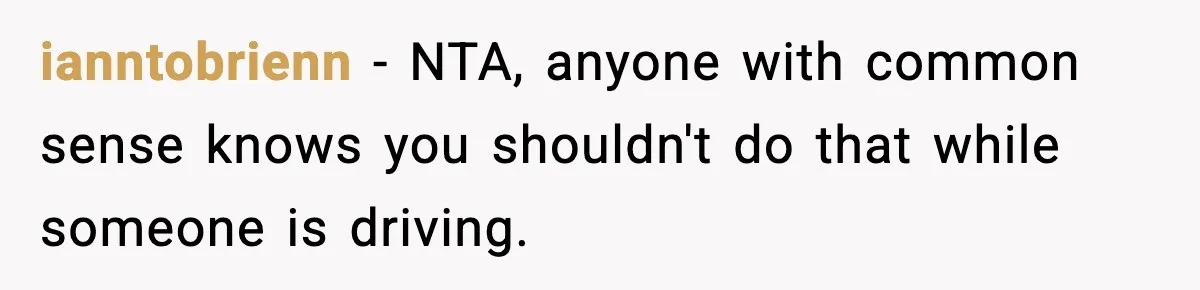 ianntobrienn − NTA, anyone with common sense knows you shouldn't do that while someone is driving.