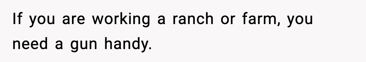 If you are working a ranch or farm, you need a gun handy.