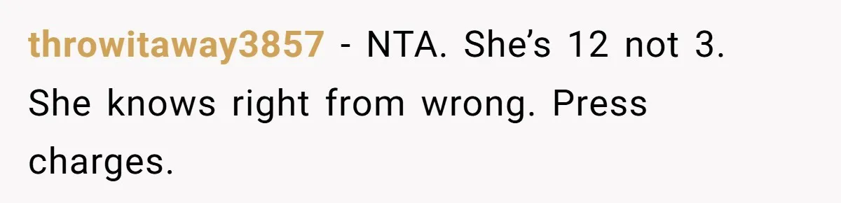 throwitaway3857 − NTA. She’s 12 not 3. She knows right from wrong. Press charges.