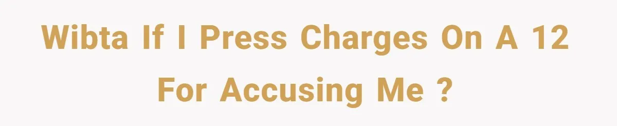 WIBTA if I press charges on a 12 for accusing me ?