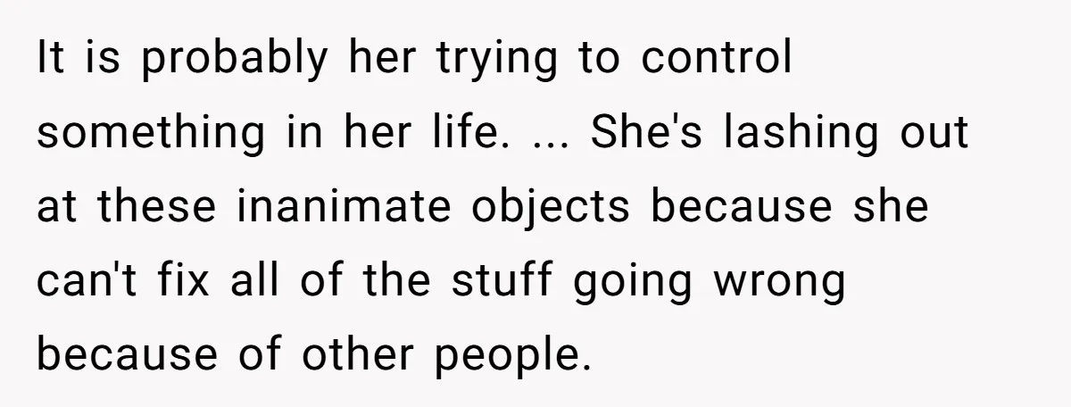 It is probably her trying to control something in her life. ... She's lashing out at these inanimate objects because she can't fix all of the stuff going wrong because...