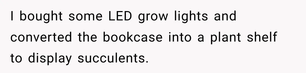 I bought some LED grow lights and converted the bookcase into a plant shelf to display succulents.