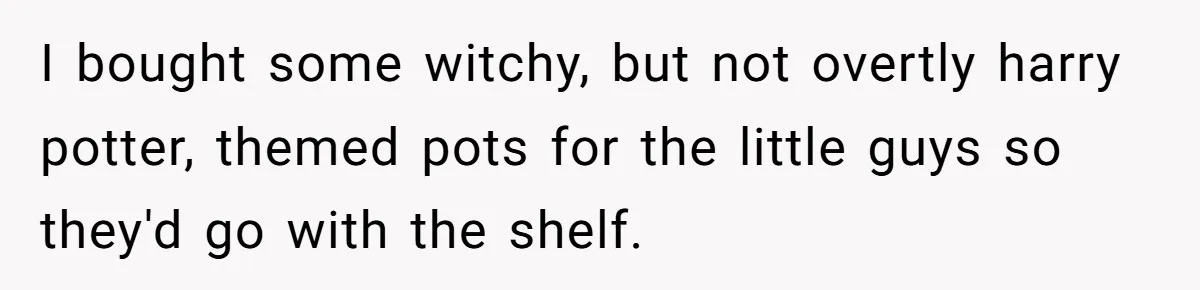 I bought some witchy, but not overtly harry potter, themed pots for the little guys so they'd go with the shelf.