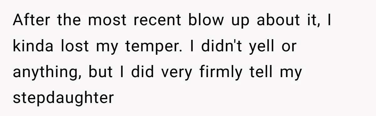 After the most recent blow up about it, I kinda lost my temper. I didn't yell or anything, but I did very firmly tell my stepdaughter