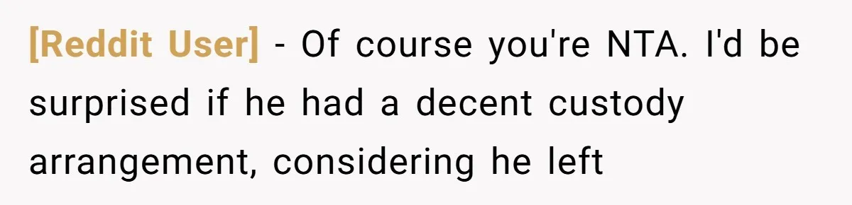 [Reddit User] − Of course you're NTA. I'd be surprised if he had a decent custody arrangement, considering he left
