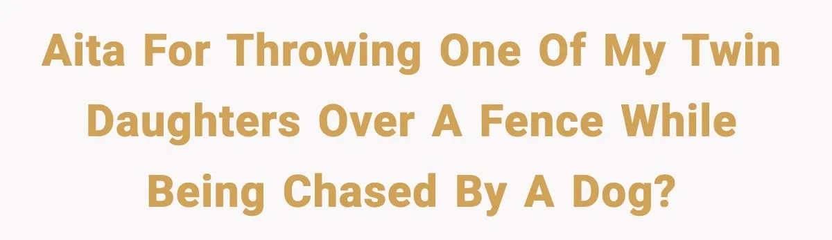 AITA for throwing one of my twin daughters over a fence while being chased by a dog?