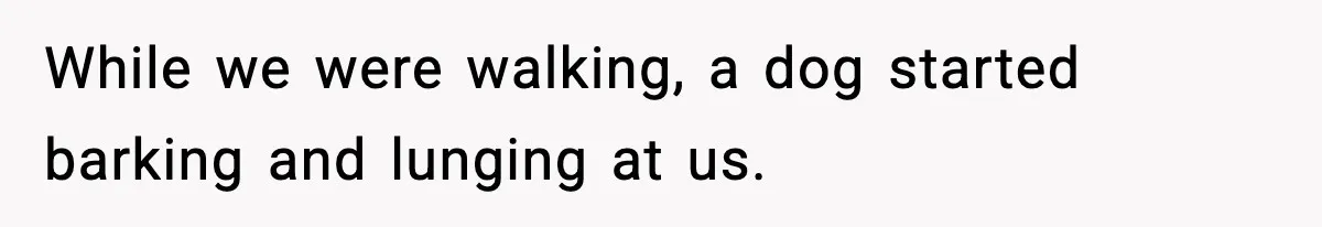 While we were walking, a dog started barking and lunging at us.